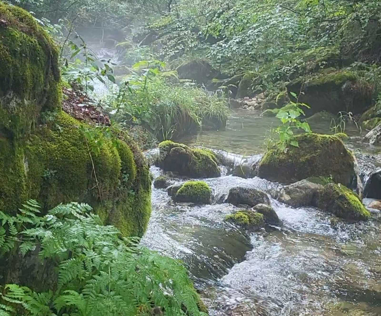 rijeka Ljevaja rijeka