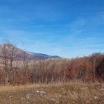 Pretežno sunčano, najviša dnevna temperatura od 12 do 22 stepena