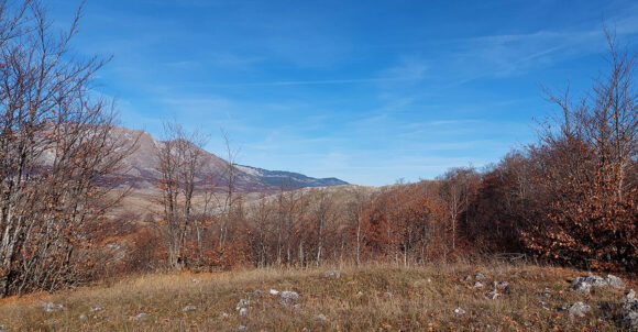 Pretežno sunčano, najviša dnevna temperatura od 12 do 22 stepena