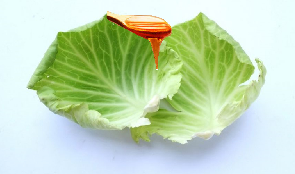 Narodna medicina: Topli oblog od kupusa i meda