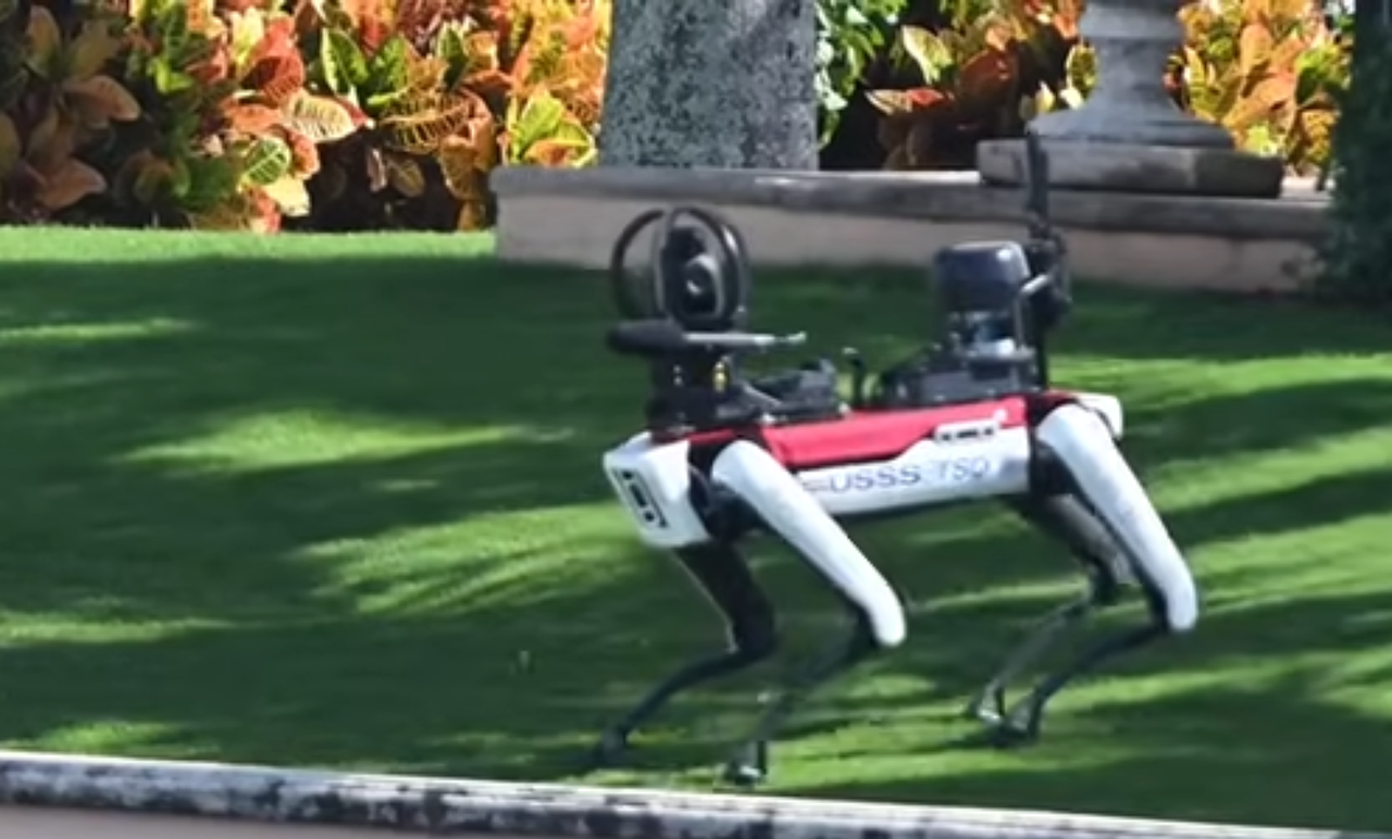 Trampa čuvaju psi roboti