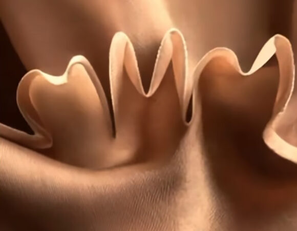 Kompanija Pantone, vodeći svetski autoritet u oblasti boja, proglasila je nijansu koja će obeležiti 2025