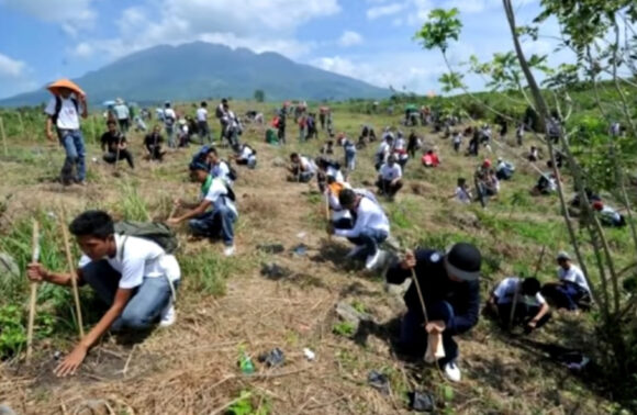 Kina izgradila veliki zeleni zid (video)
