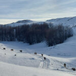 Pretežno sunčano ili malo do umjereno oblačno