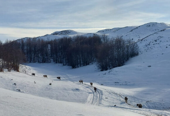 Pretežno sunčano ili malo do umjereno oblačno