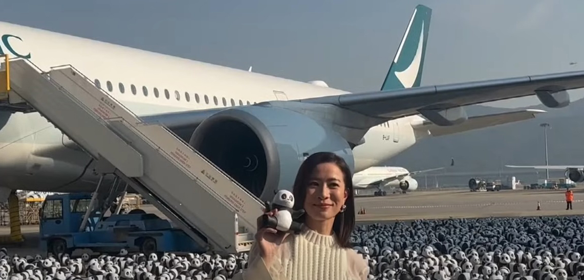 Hiljade skulptura džinovskih pandi u Hong Kongu