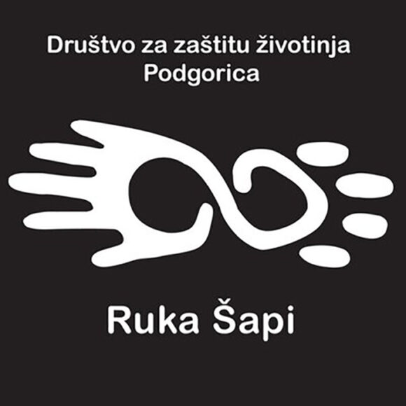 ruka sapi