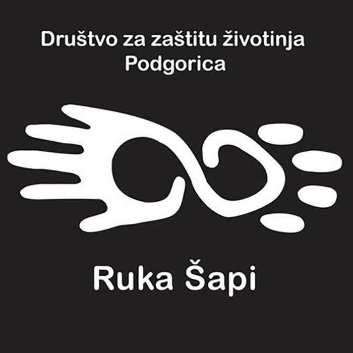 ruka sapi ruka sapi