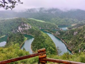 cehotina