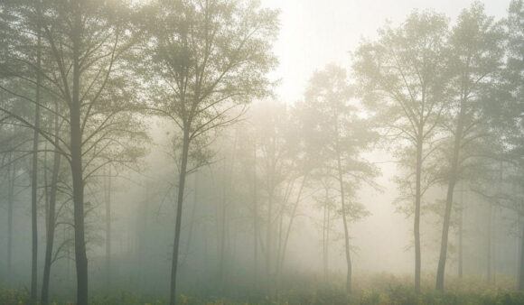 Pretežno sunčano, najviša dnevna temperatura od 18 do 30 stepeni