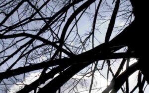 Promjenljivo oblačno sa dužim sunčanim intervalima