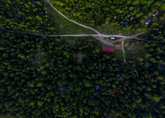 Zaustaviti uništavanje zaštićenih šuma munike