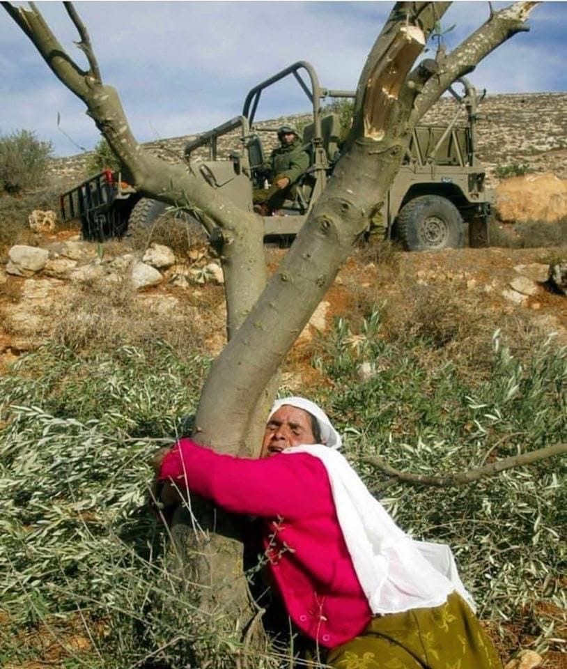 Izrael odobrio gradnju 22 nova naselja na okupiranoj Zapadnoj obali