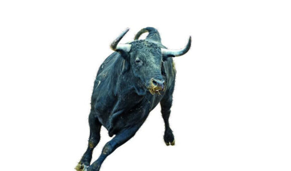 Bik nije igrao po pravilima