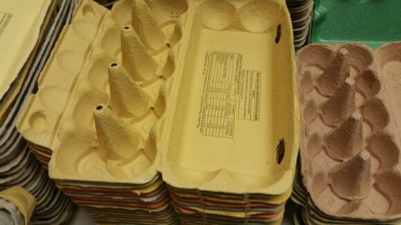 Zašto je opasno ponovo koristiti kartonsku ambalažu za jaja