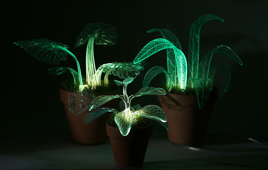 Sva živa bića emituju slabu svjetlost