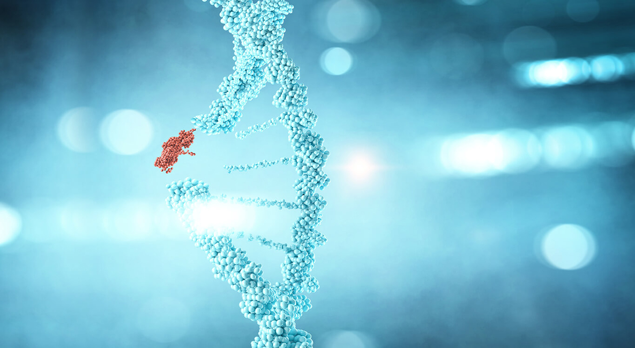 Ilustracija (delecija) Vilijamsov sindrom (WS) je rijedak genetski poremećaj uzrokovan gubitkom dijela dugog kraka 7. hromozoma