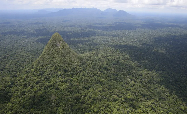 piramida amazon piramida amazon