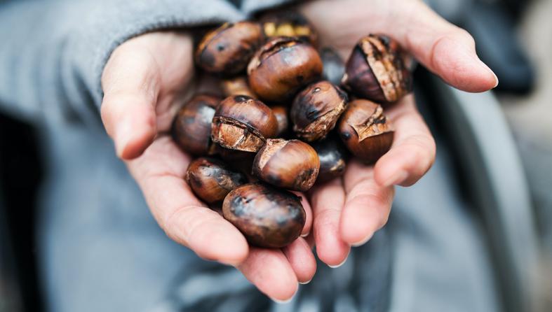 Vadite kestenje iz vatre, ali baš!