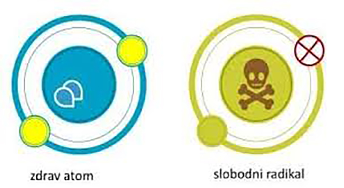 slobodni radikali
