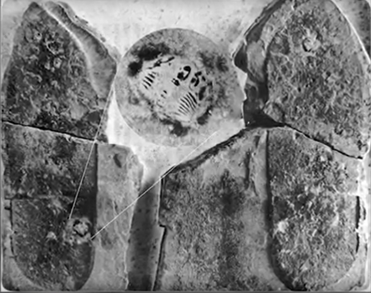 Otisak cipele star 500 miliona godina?