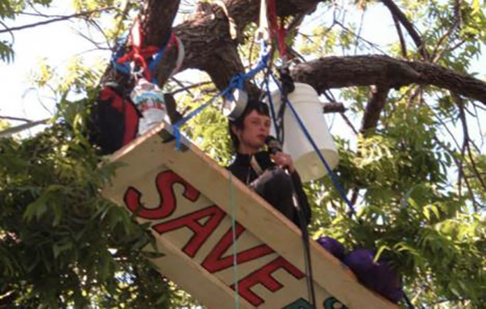 dvije godine na drvetu