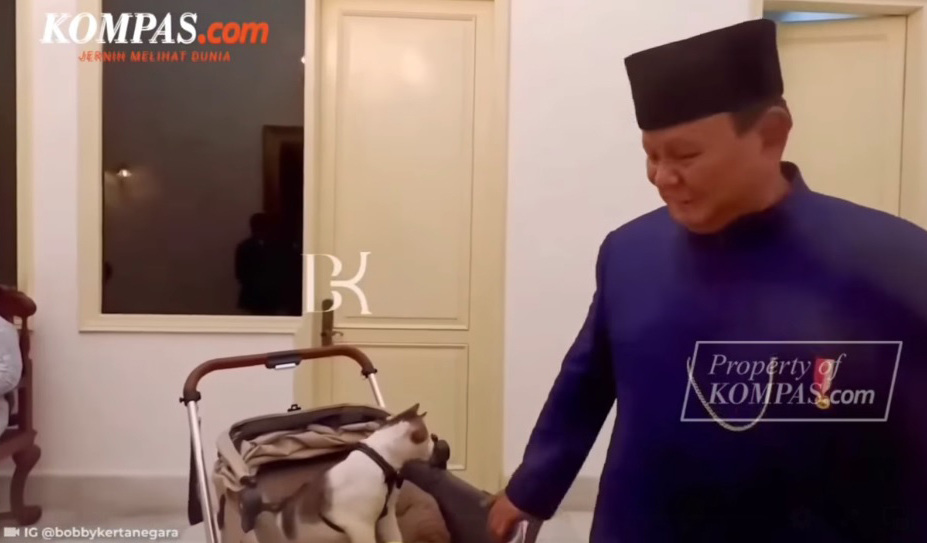 Državno obezbjeđenje za mačka predsjednika Indonezije