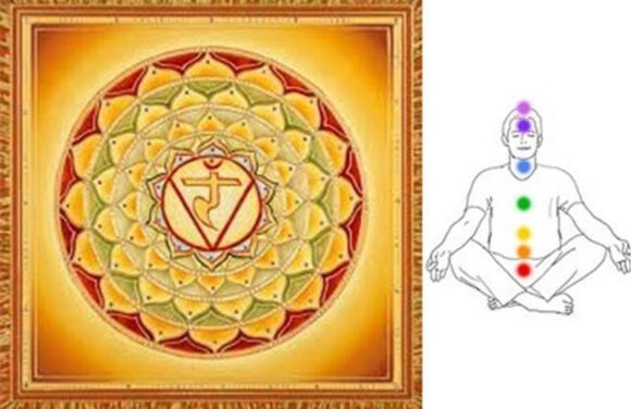 Šta je solarni pleksus?