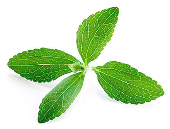 Stevia fermentirana sojem bakterije iz listova banane pokazala izuzetno antikancerogeno djelovanje