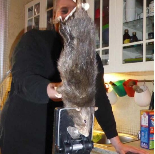 pacov od pola metra pacov od pola metra