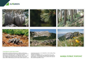 Crnogorska fotografkinja Marija Šoškić Popović osvojila nagradu EU4Green