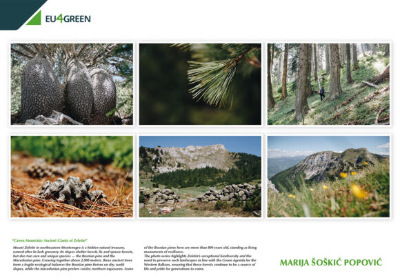 Crnogorska fotografkinja Marija Šoškić Popović osvojila nagradu EU4Green