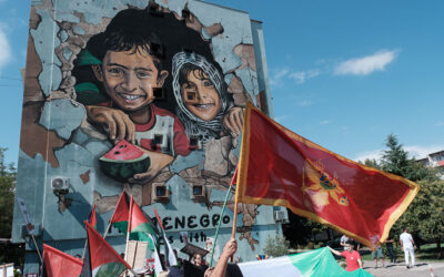 Crna Gora kao potrčko stranih interesa