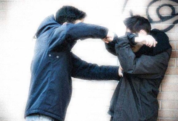 NVO: Zaštitari u školama su intermeco- sistemska rješenja su ključ