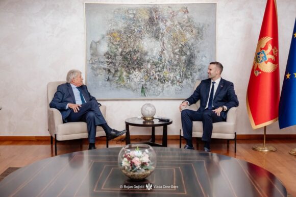 spajic i princ nikola