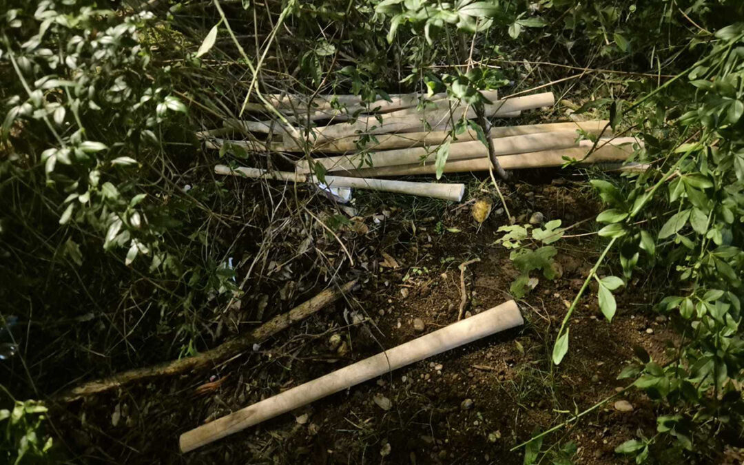 Crna Gora nije zemlja mržnje i nasilja