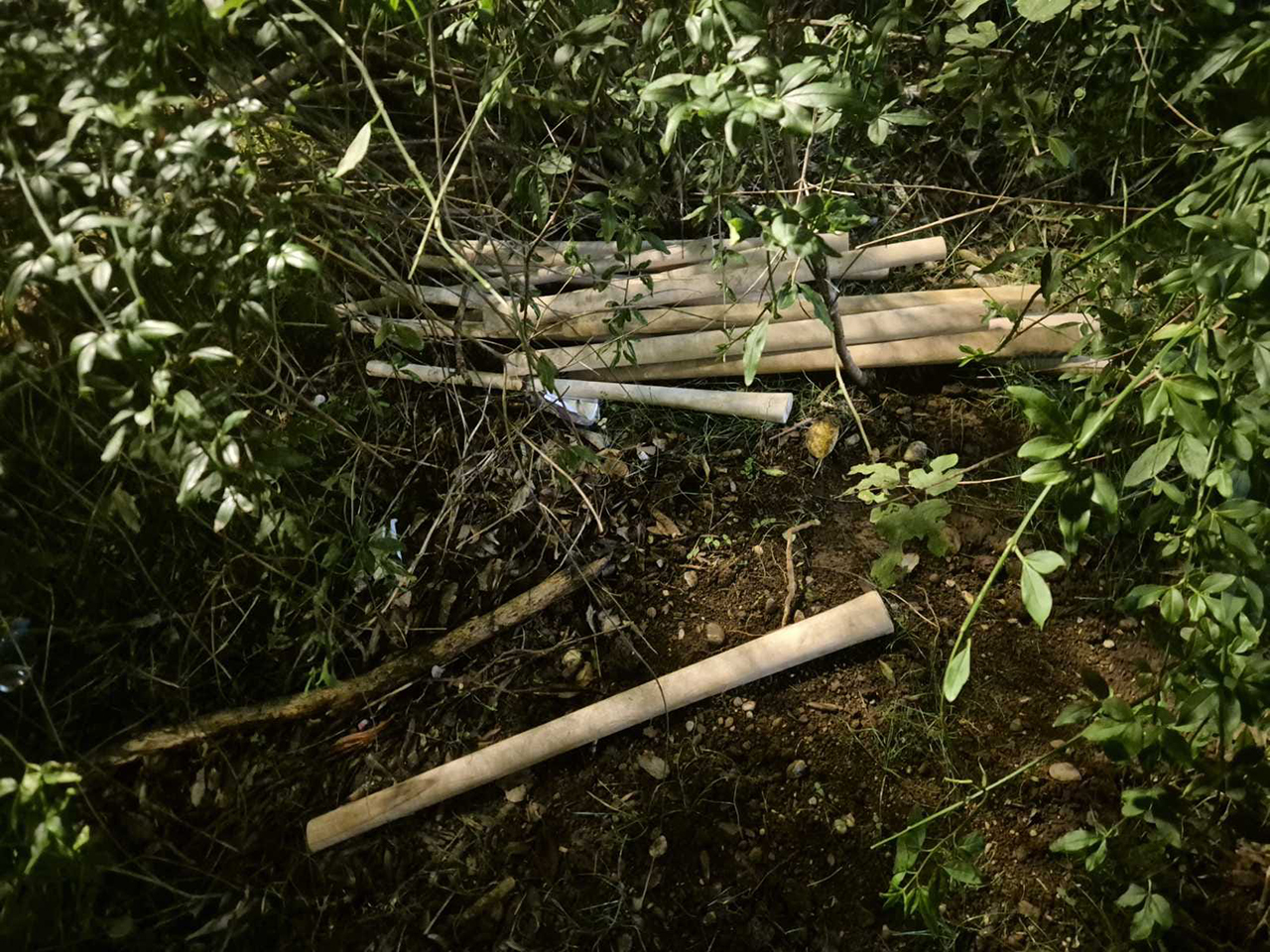 Policija privela više osoba – u šteku pronađene bejzbol palice pripremljene za napad