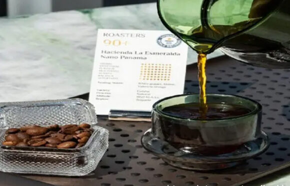 najskuplja soljica kafe