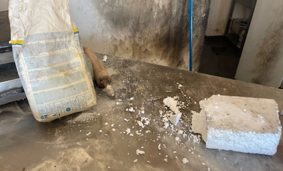 Ksenofobija se uči: slučaj Turaka u Crnoj Gori,