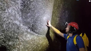 Na granici Grčke i Albanije otkrivena najveća paukova mreža na svijetu