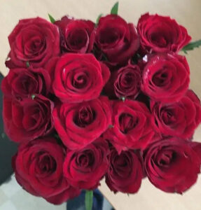 Šta posle Prvog novembra?