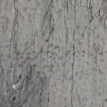 Hiljade otisaka dinosaurusa na alpskim liticama u Italiji