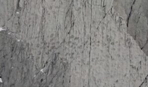 Hiljade otisaka dinosaurusa na alpskim liticama u Italiji