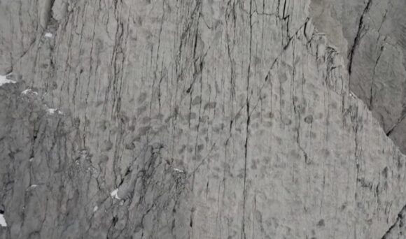 Hiljade otisaka dinosaurusa na alpskim liticama u Italiji