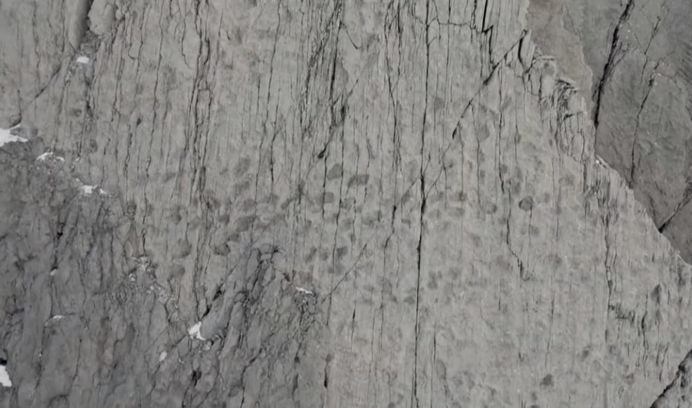 Hiljade otisaka dinosaurusa na alpskim liticama u Italiji