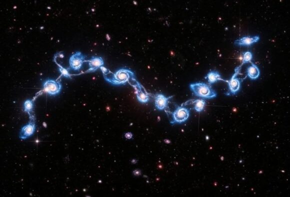 Kosmička vinova loza