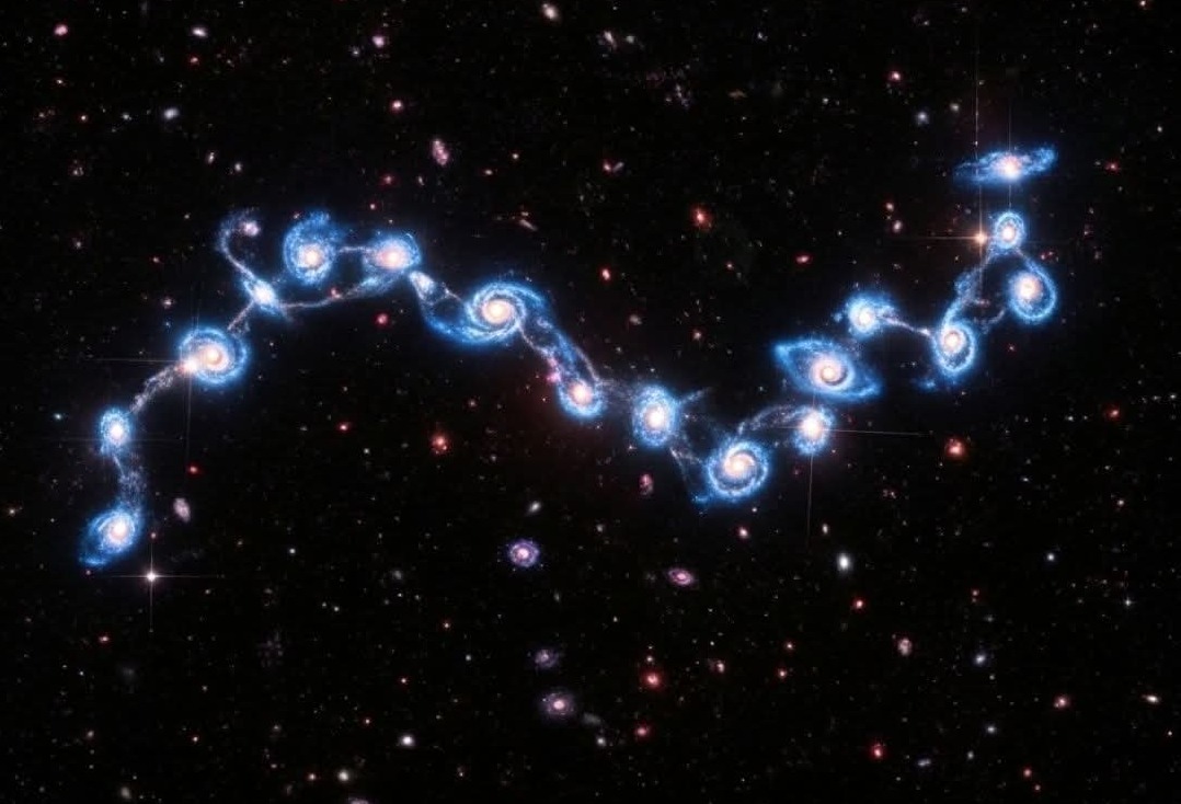 Kosmička vinova loza