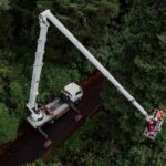 Stara sekvoja postala Ginisova rekorderka