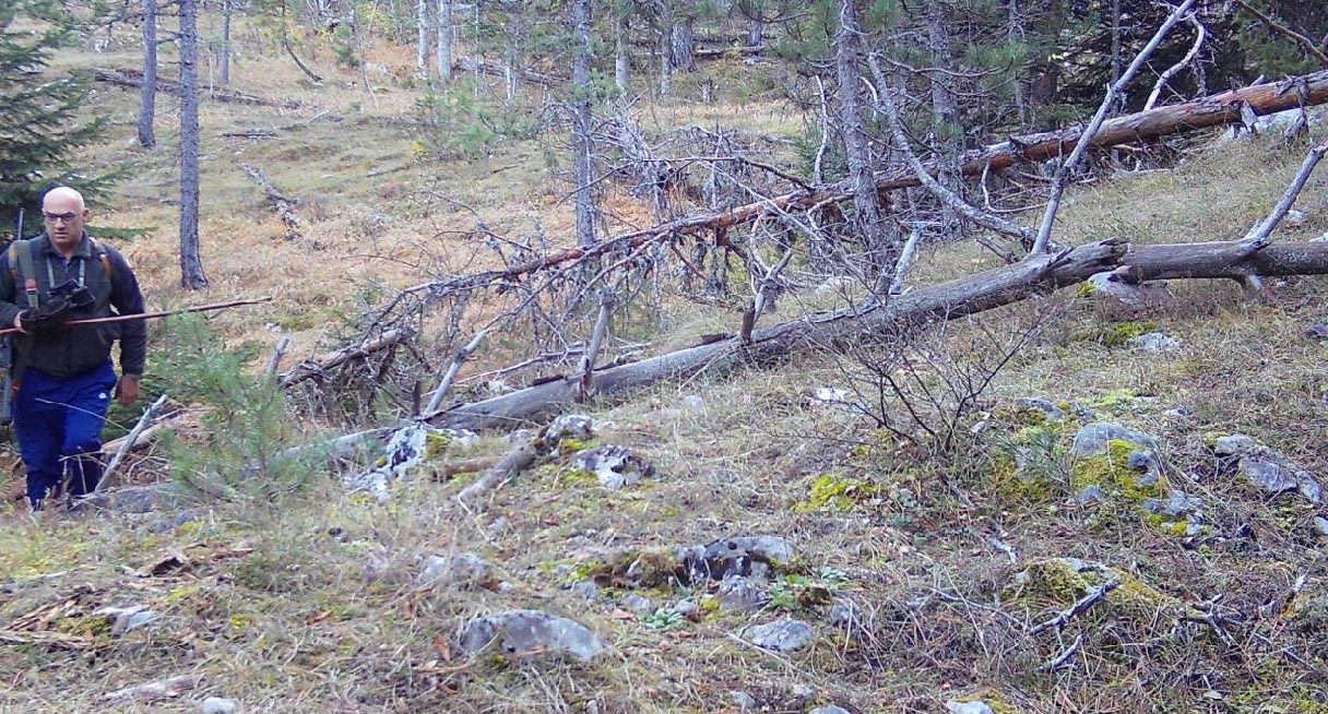 CZIP-ove kamere-zamke otkrile nezakoniti lov u NP Durmitor