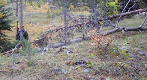 CZIP-ove kamere-zamke otkrile nezakoniti lov u NP Durmitor